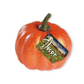 Calabaza Halloween Real
