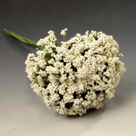 12 Ramitos de Gypsophila 12 Ramitos de Gypsophila