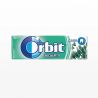 Chicles Obit de Eucalipto 30 paquetes