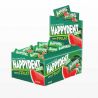Chicles Happydent de Sandia 200 uds