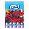Chuches de Moritas Vidal 1 kg