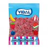 Regaliz Picante Ladrillos de Fresa 250 uds