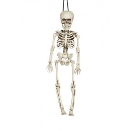 Esqueleto 40 Cms