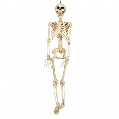 Esqueleto 90 cm
