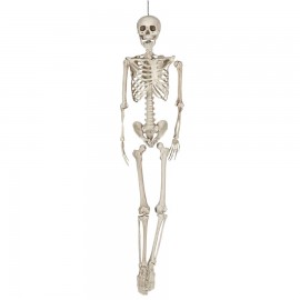Esqueleto Humano Halloween