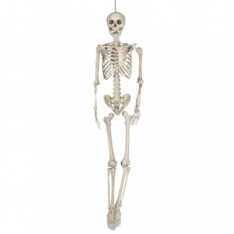 Esqueleto Humano Halloween