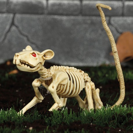 Esqueleto de Rata