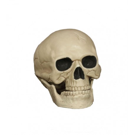 Calavera Cráneo 20 Cms