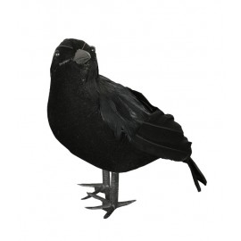 Cuervo 25 Cms