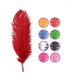 Pluma de Avestruz 30 cm Pluma de Avestruz 30 cm