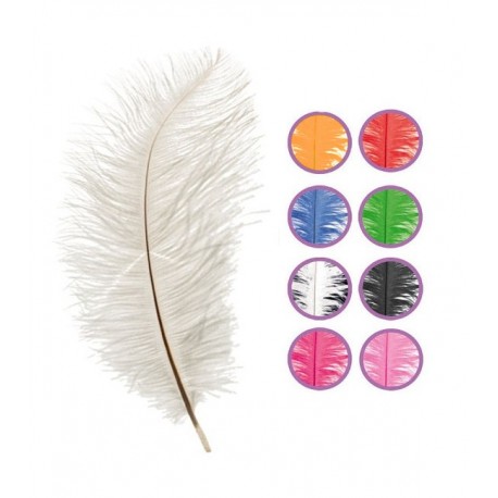 Pluma Avestruz Gigante 50 cm