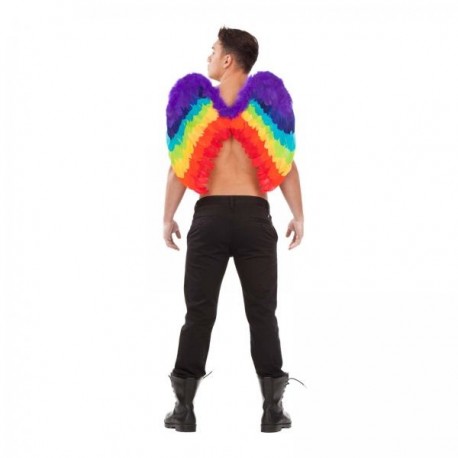 Alas de Arco Iris