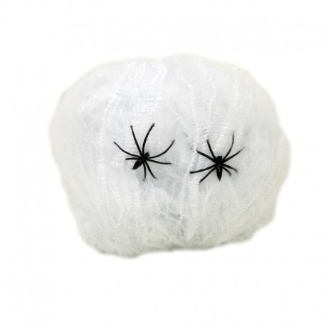 Telaraña con 2 Arañas