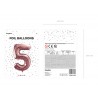 Globo Numero 5 Foil 86 cm