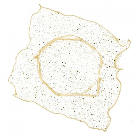 24 Pañuelos Cuadrado Dorados 23x23 cm