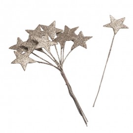10 Estrellas Plateadas Purpurina Mágica