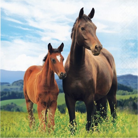 16 Servilletas Caballo y Pony 33 cm
