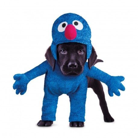 Disfraz de Coco para Mascota