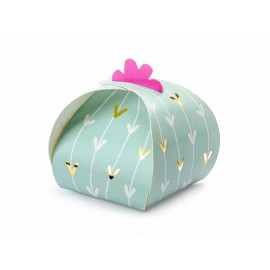10 Cajas Cactus