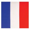 Bandana Francia Online