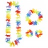 Set di Colori dell'Arcobaleno Hawaiano