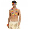 Set di Colori dell'Arcobaleno Hawaiano