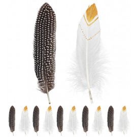 Set de 12 Plumas Indias Set de 12 Plumas Indias