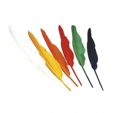 Set de 12 Plumas Indio