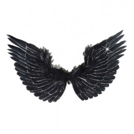 Alas con Plumas y Purpurina Plateada 86x42 cm