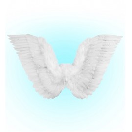 Alas con Plumas 86x31 cm