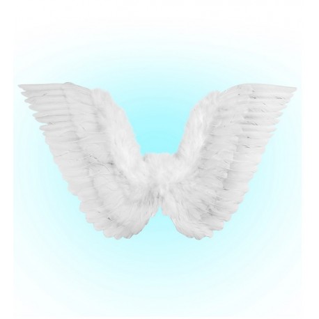 Alas con Plumas 86x31 cm