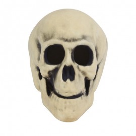 Calavera Con Led 30 Cms Calavera Con Led 30 Cms
