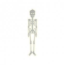 Esqueleto Fluorescente