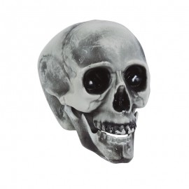 Calavera 20 Cms Calavera 20 Cms