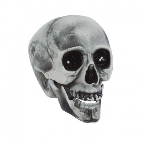 Calavera 20 Cms
