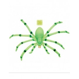 Araña Moldeable Gigante Fosforescente 70 cm Araña Moldeable Gigante Fosforescente 70 cm