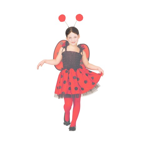 Disfraz de Mariquitilla Infantil