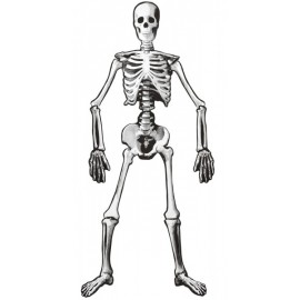 Esqueleto 134 cm