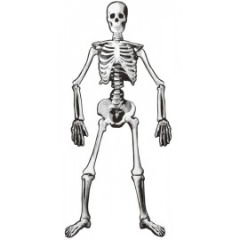 Esqueleto 134 cm Esqueleto 134 cm