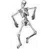 Esqueleto 134 cm