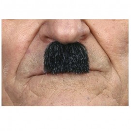 Bigote Pequeño Bigote Pequeño