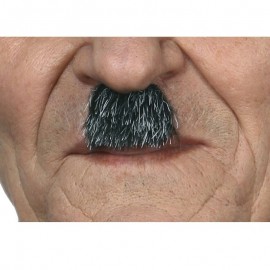 Bigote Canoso Bigote Canoso