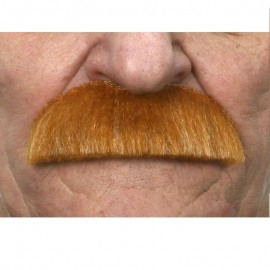 Bigote Arreglado Bigote Arreglado