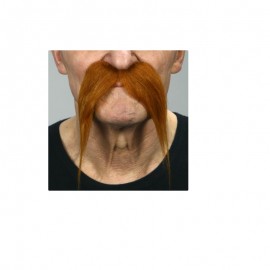 Bigote de Galo Bigote de Galo