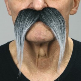 Bigote Curvado Canoso Bigote Curvado Canoso