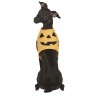 Disfraz Calabaza Mascota