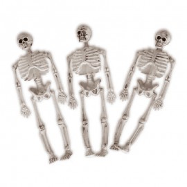 Bolsa 3 Esqueletos