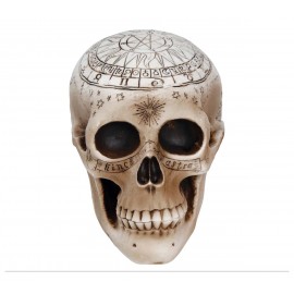 Calavera Espiritismo 20 cm Calavera Espiritismo 20 cm