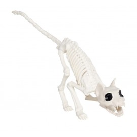 Esqueleto Gato 48 cm