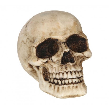 Calavera Real